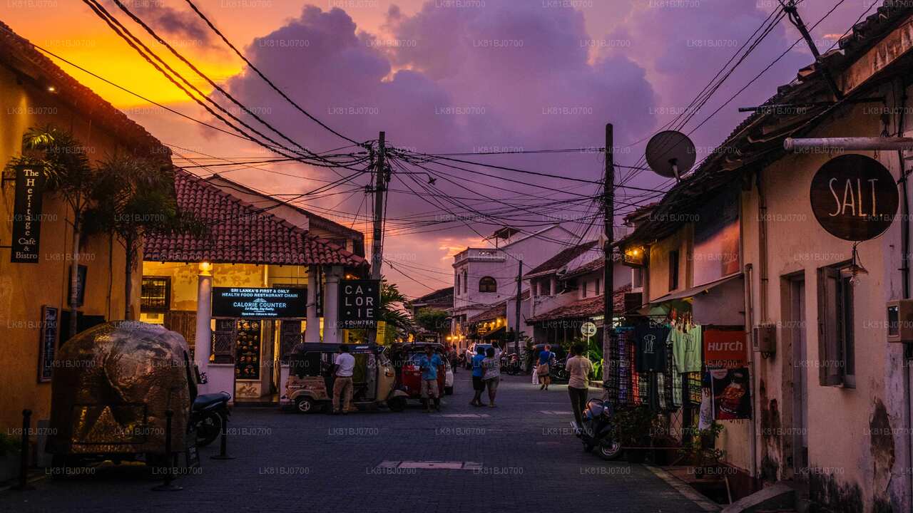 Colombo Limanı"ndan Güney Kıyısı Öne Çıkanlar