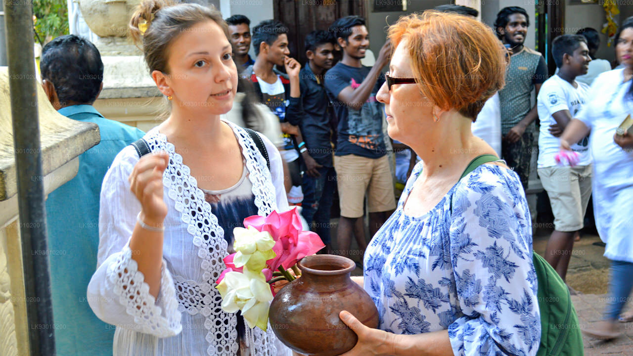 Colombo Budist İkonografi Deneyimi