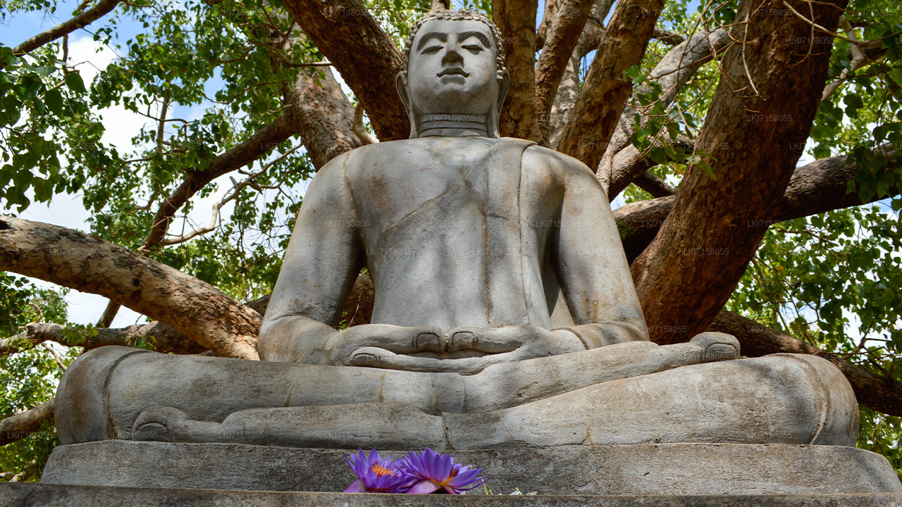 Anuradhapura'dan Ruhsal Deneyim