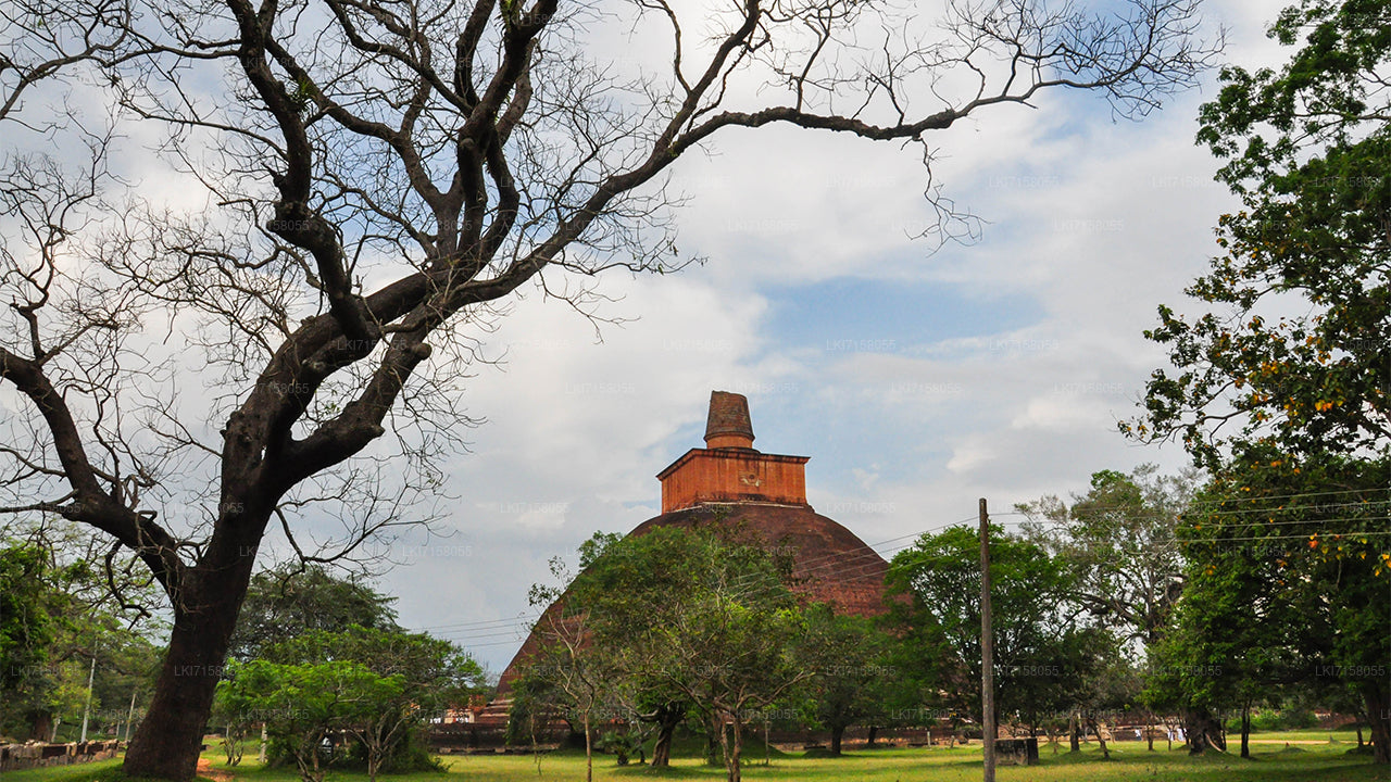 Anuradhapura'dan Ruhsal Deneyim