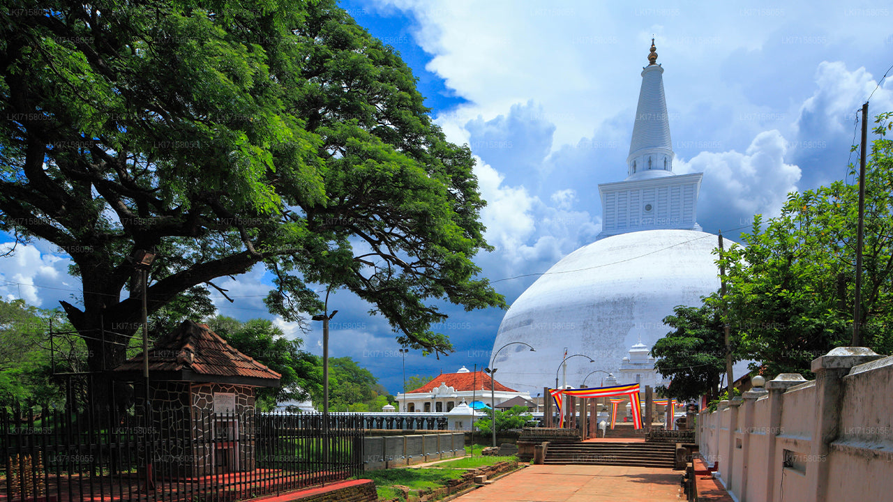 Anuradhapura'dan Ruhsal Deneyim