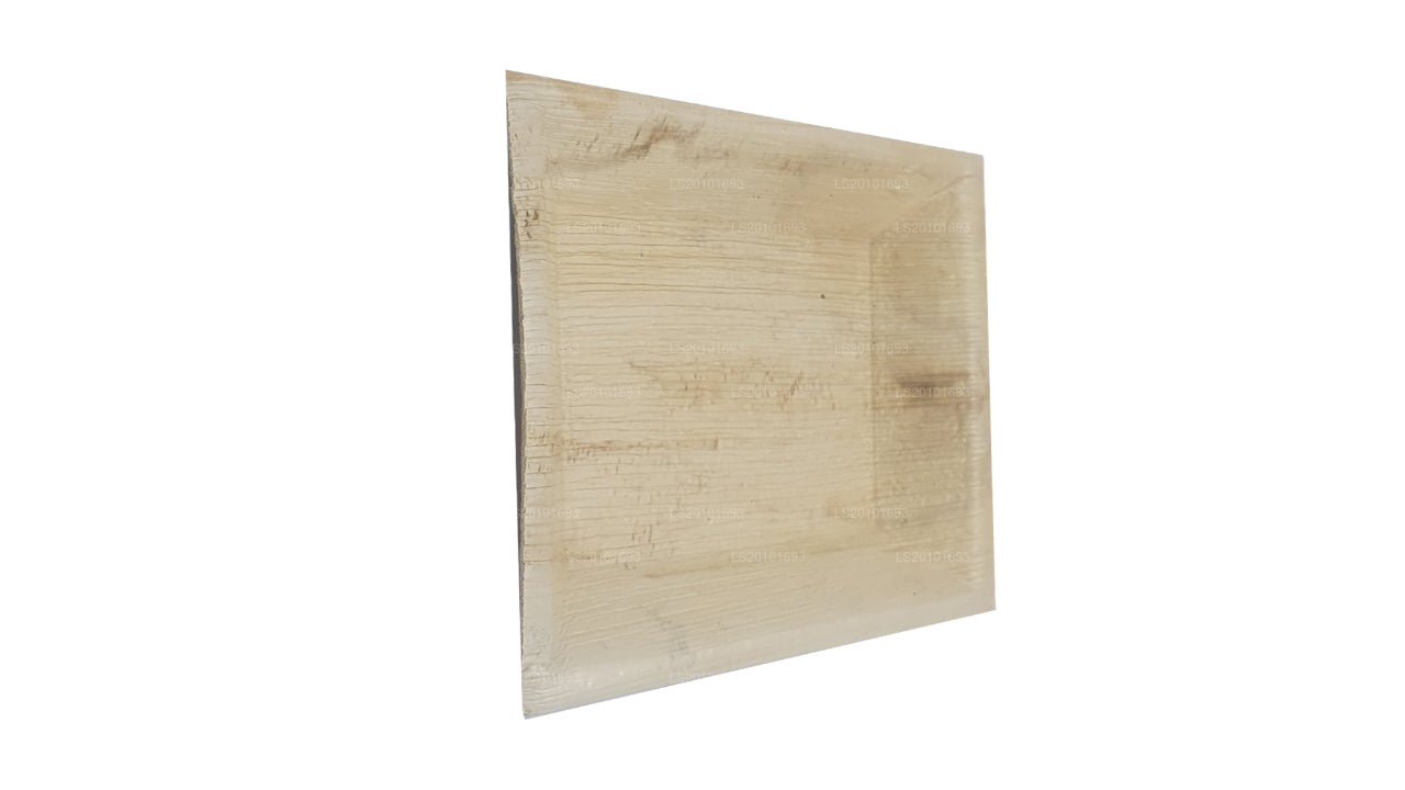 El Yapımı Areca Yapraklı Yemek Tabakları 20 cm x 20 cm (Kare Tip)