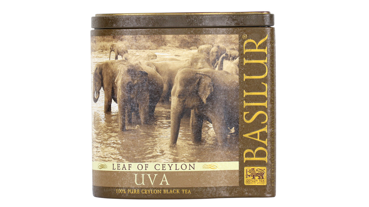 Seylan “Uva” Bazilur Yaprağı (100g) Caddy