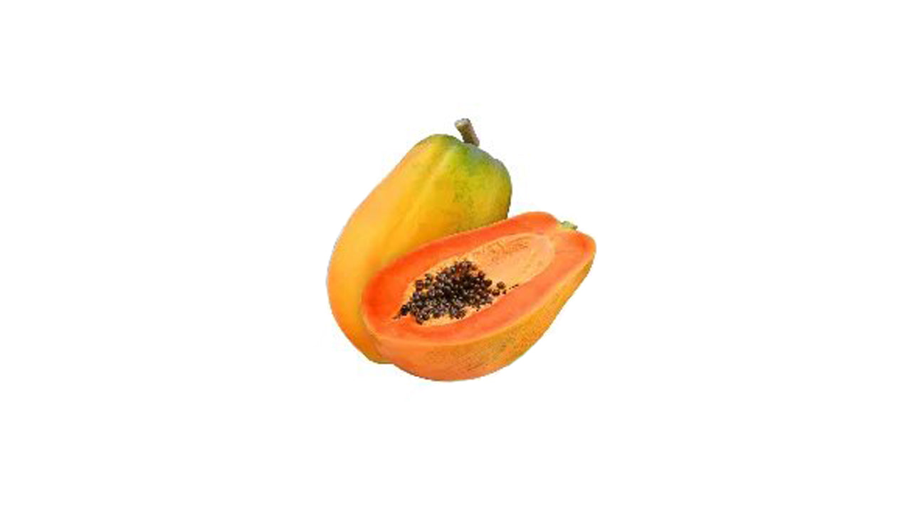 Red Lady Papaya Plant