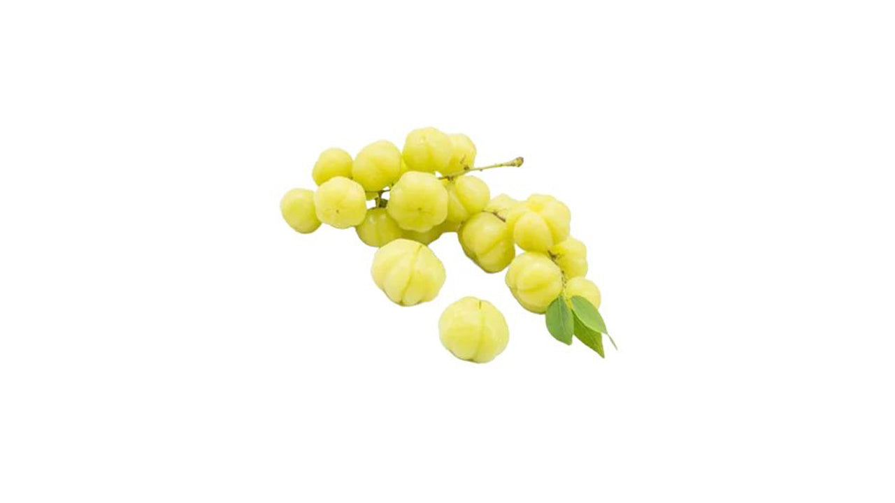 Lakpura Star Gooseberry (Rata Nelli) Plant