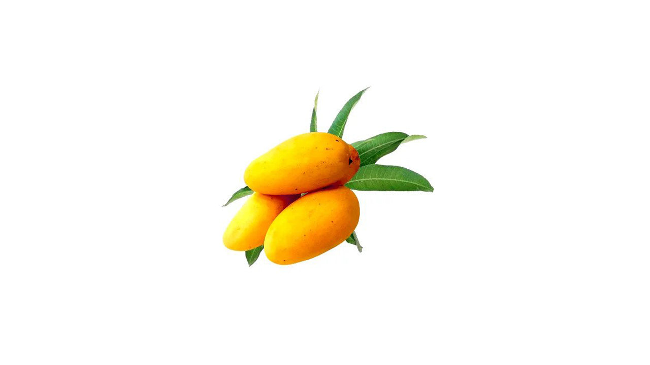 Lakpura Sunflower Mango Plant