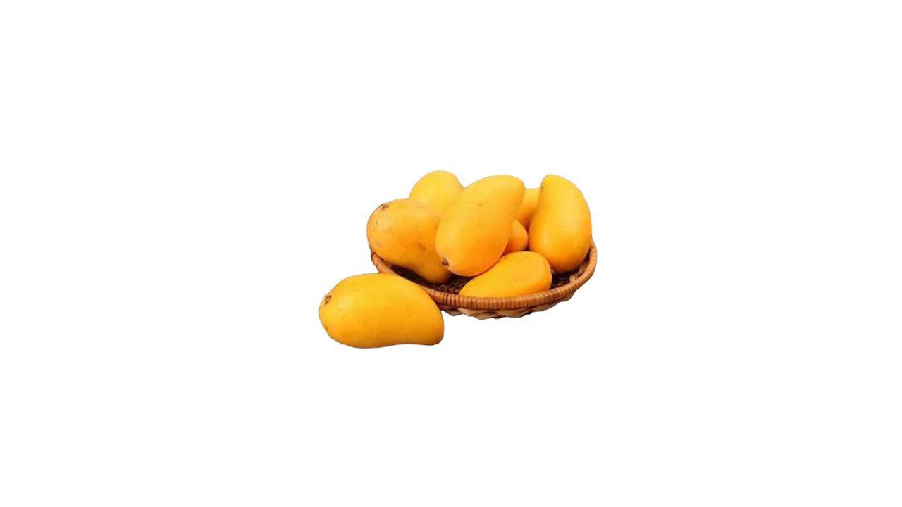 Lakpura Thai Gira Mango Grafted Plant
