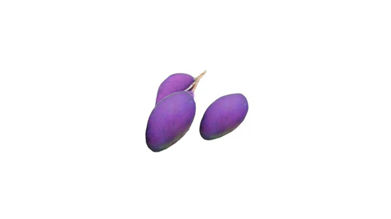 Lakpura Thai Purple Mango Grafted Plant