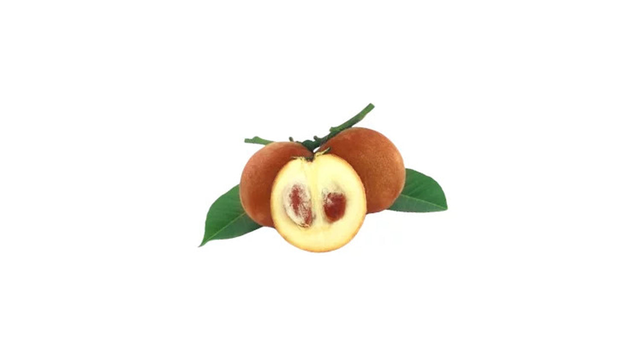 Lakpura Velvet Apple Plant