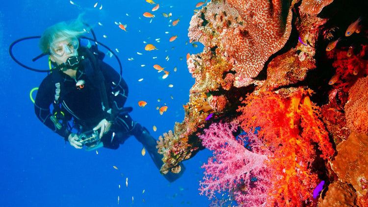 Diving