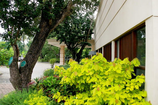 Jade Green, Hambantota