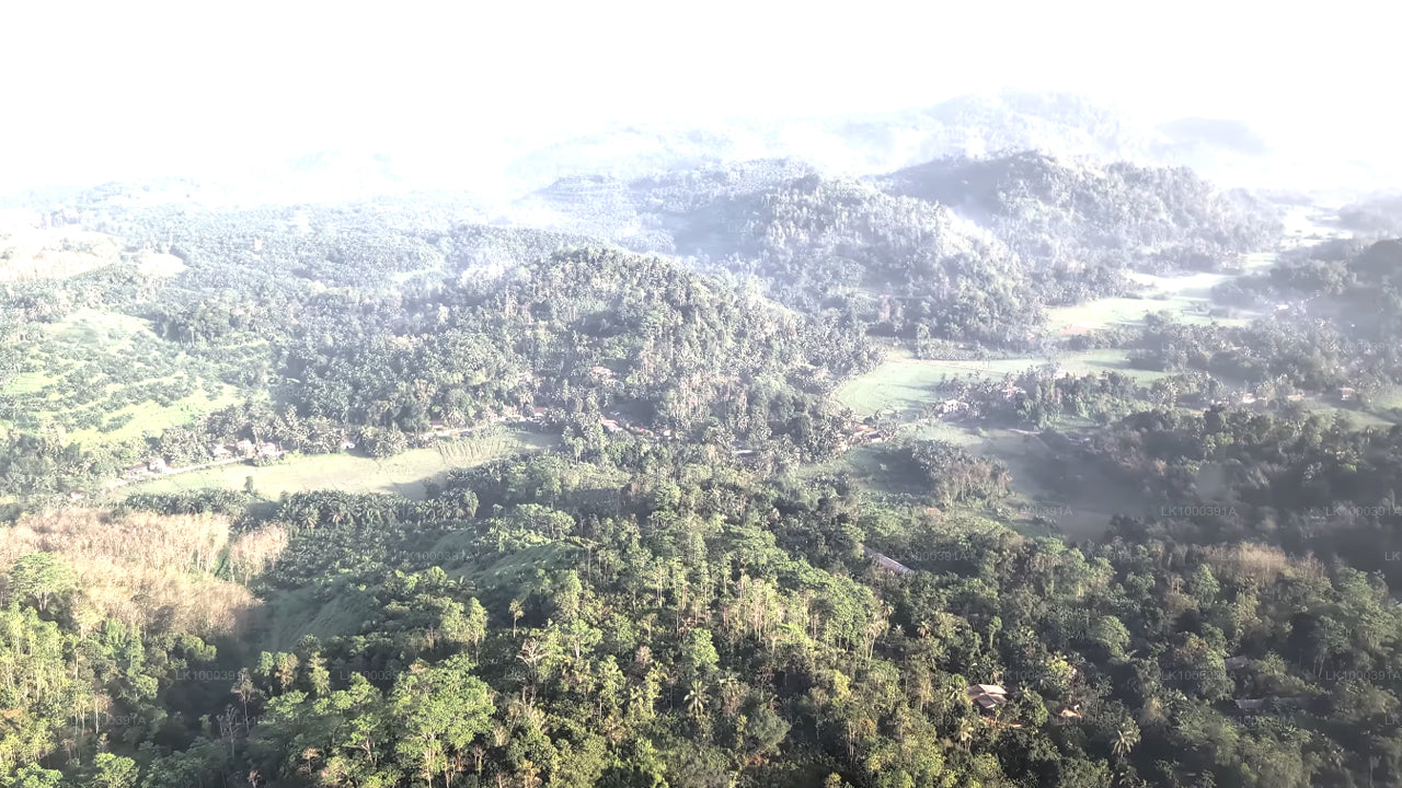 Discover Sigiriya by Helicopter from Colombo City