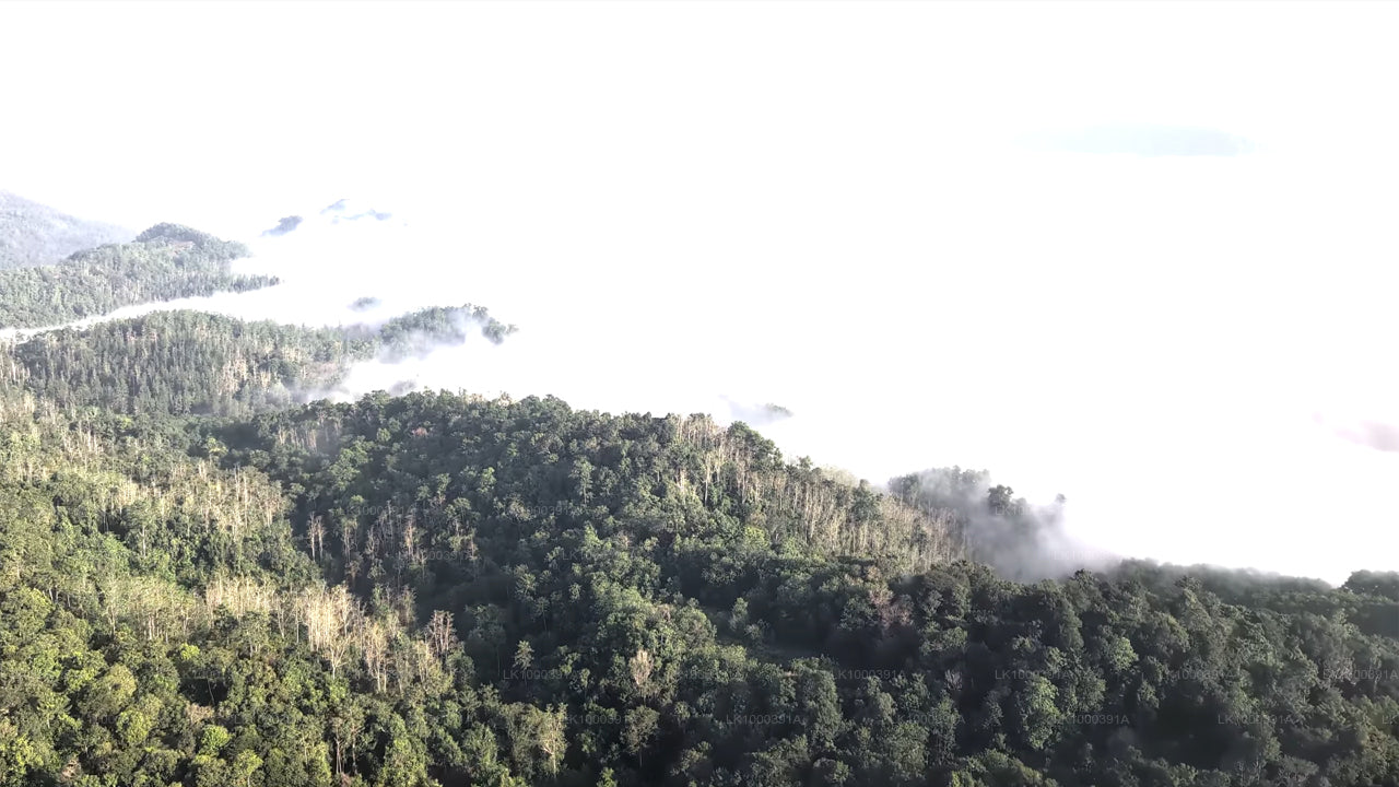Discover Sigiriya by Helicopter from Colombo City