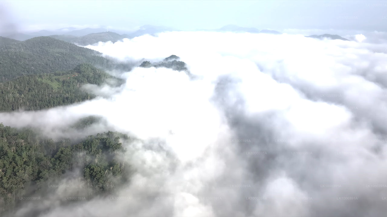 Discover Sigiriya by Helicopter from Colombo City