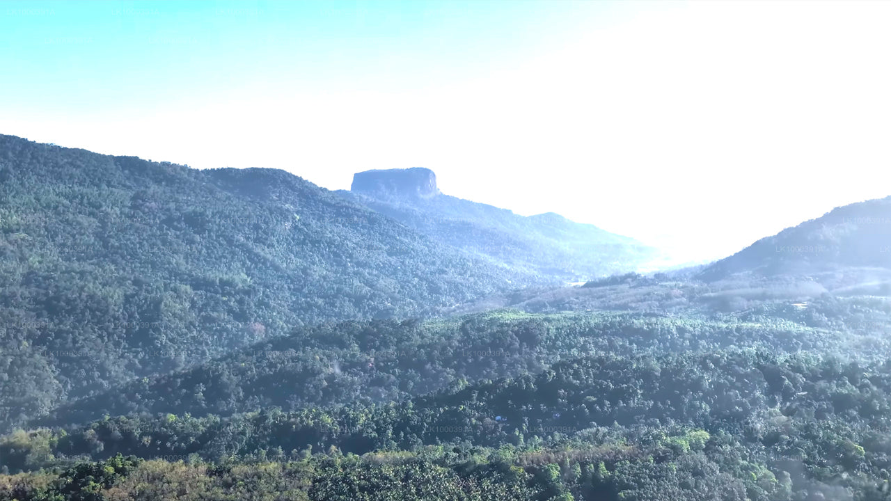 Discover Sigiriya by Helicopter from Colombo City