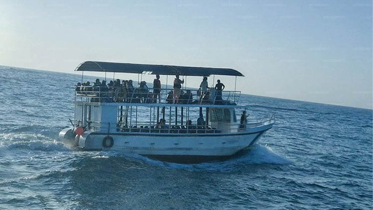 Kuşları ve Memelileri Kapsayan Yaban Hayatı Turu (14 Gün)
