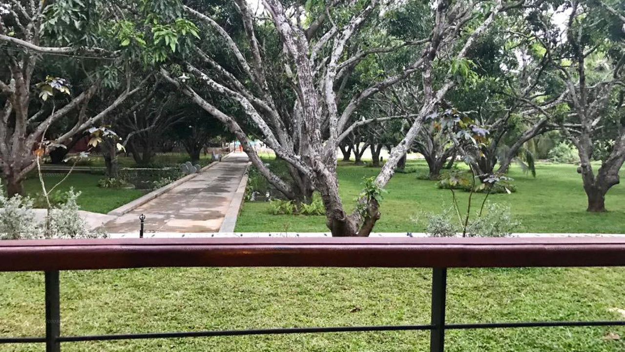 Thilanka, Dambulla'dan Sigiriana Tatil Köyü