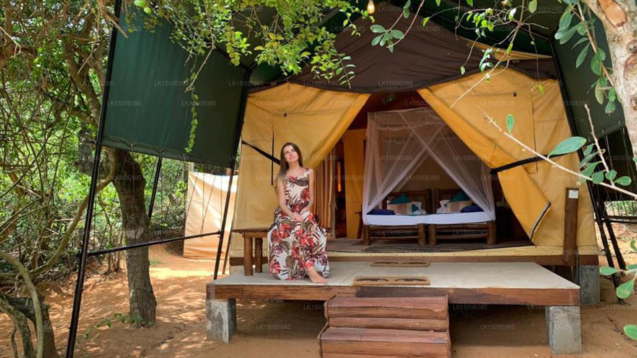 Ötesin Arkası - Safari Lodge, Yala