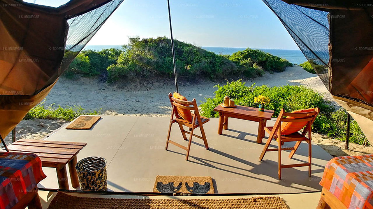 Ötesin Arkası - Safari Lodge, Yala