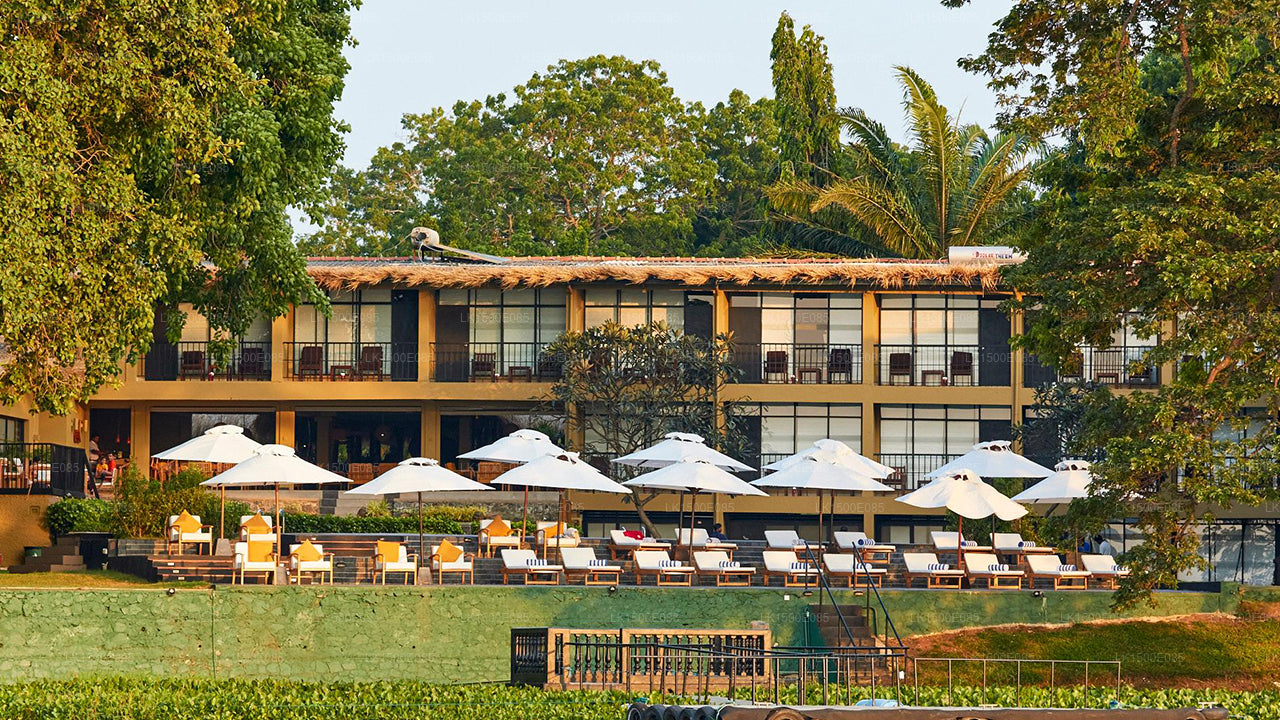 Ötesin Arkası - Safari Lodge, Yala