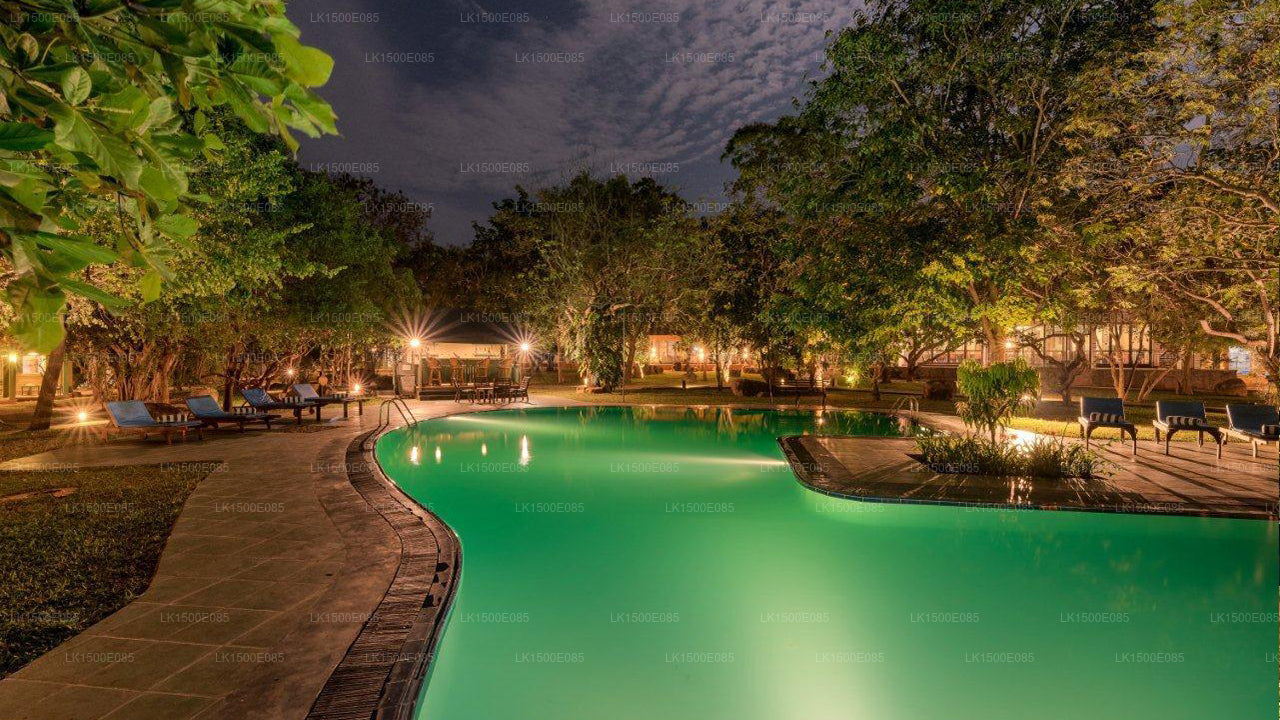Ötesin Arkası - Safari Lodge, Yala