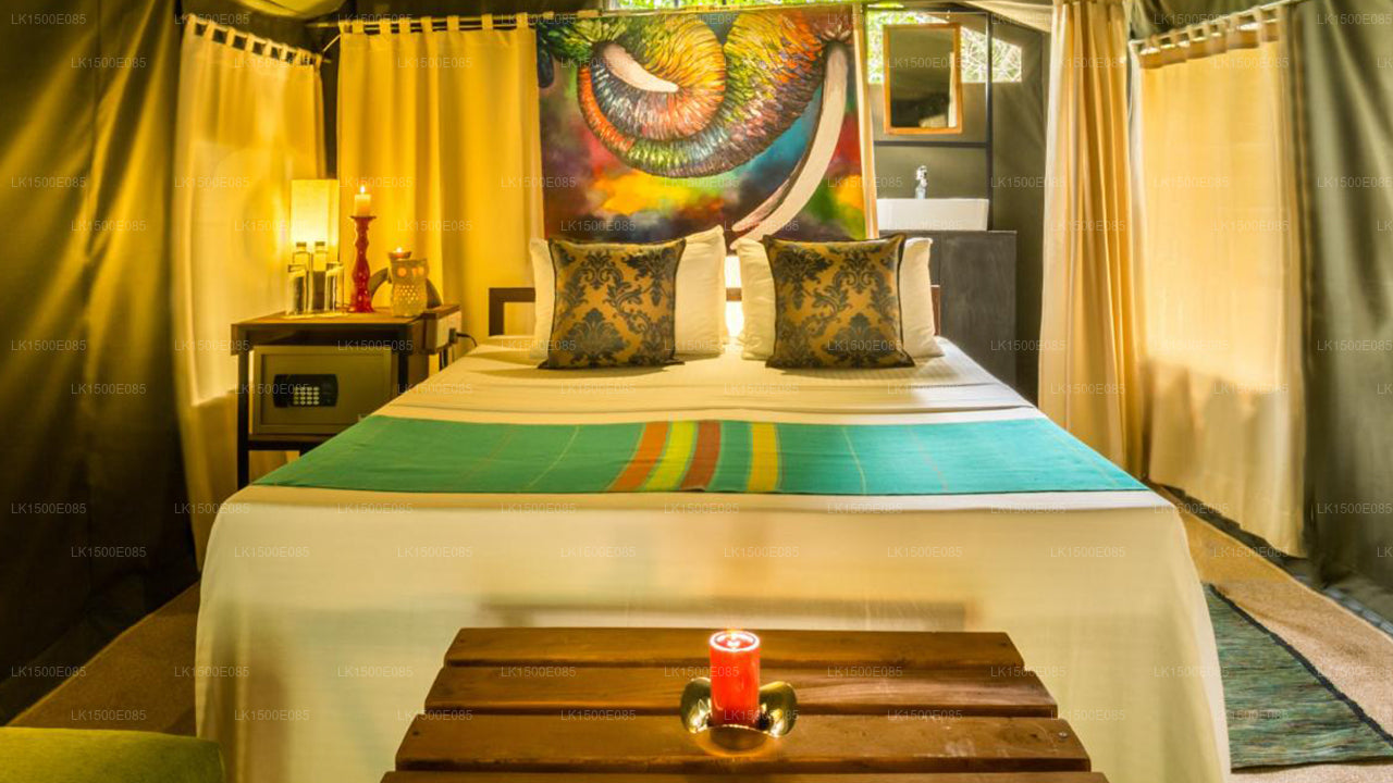 Ötesin Arkası - Safari Lodge, Yala