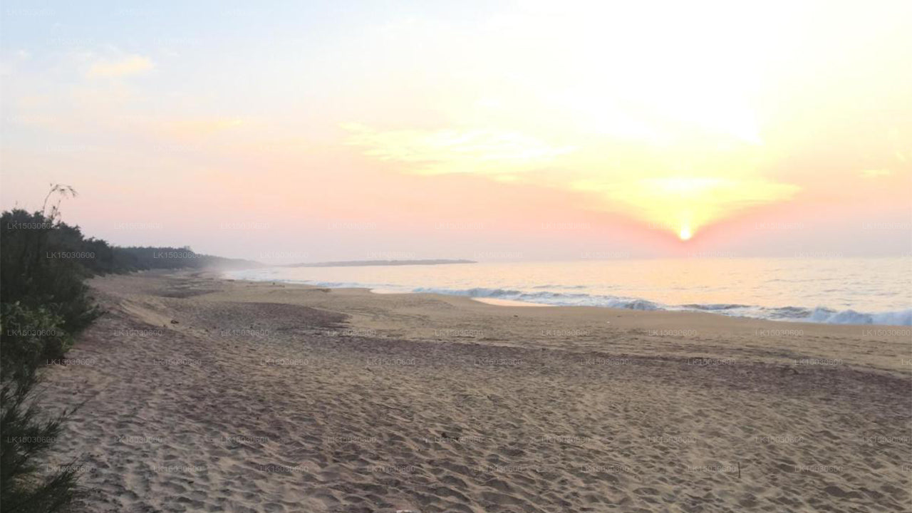 Oasis Ayurveda Sahil Tatil Köyü, Hambantota