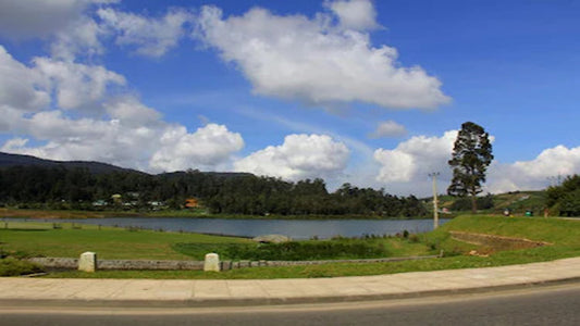 Ashley Tatil Köyleri, Nuwara Eliya