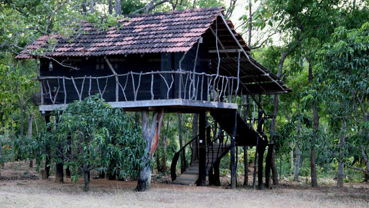 Eagle's Wings Konuk evi, Habarana