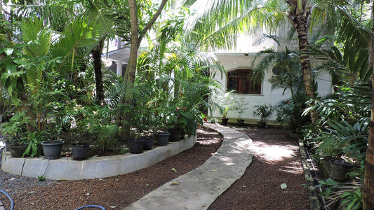 Dilakn Guest House