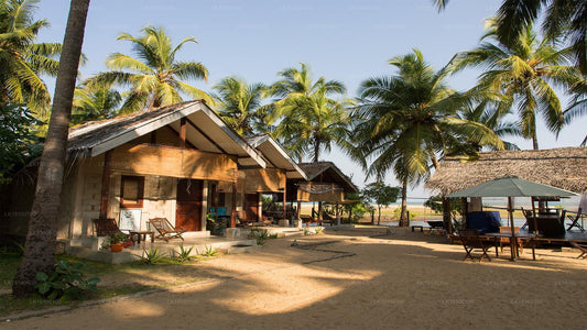 Diyamba, Kalpitiya