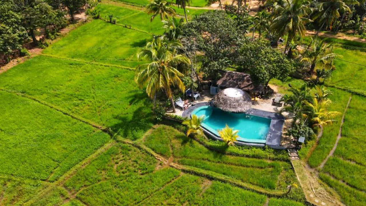 Nelu Village, Sigiriya