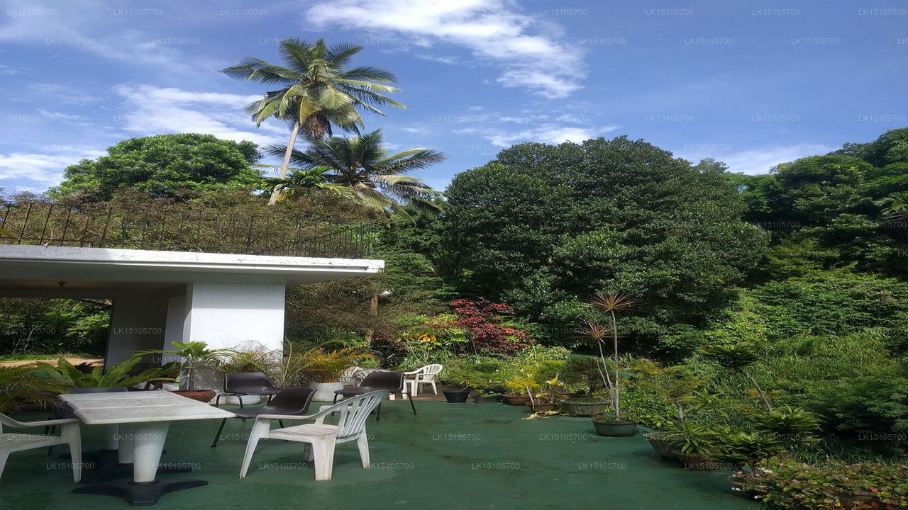 Forest Glen, Kandy