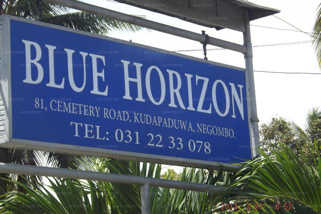 Blue Horizon Konuk evi, Negombo