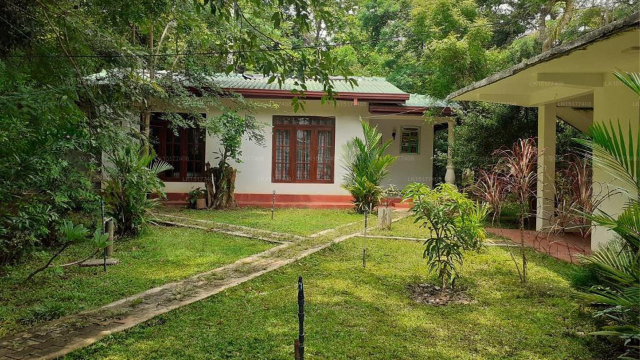 Woodsy Villa, Sigiriya