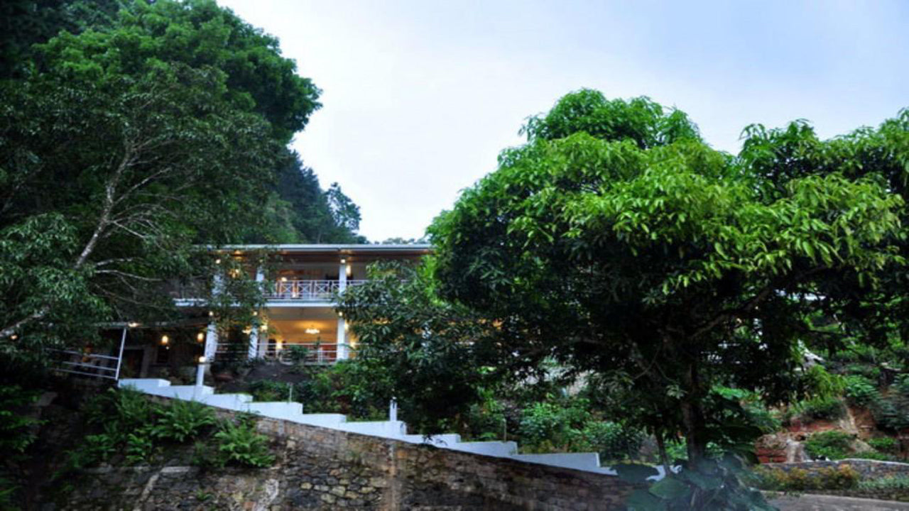Orman Kenarı, Kitulgala