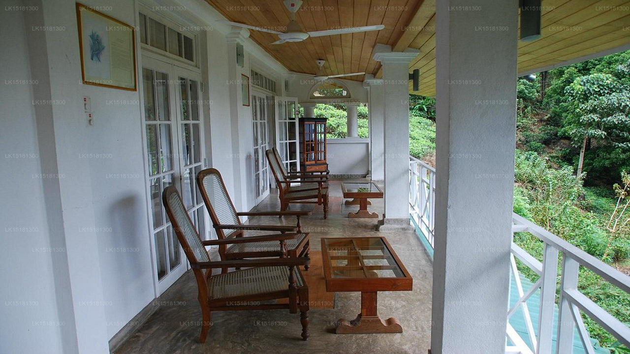 Orman Kenarı, Kitulgala