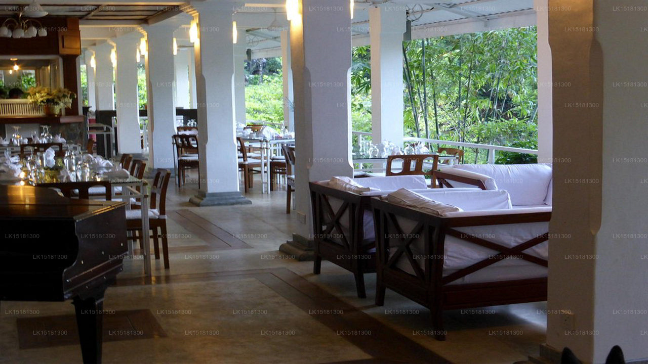 Orman Kenarı, Kitulgala