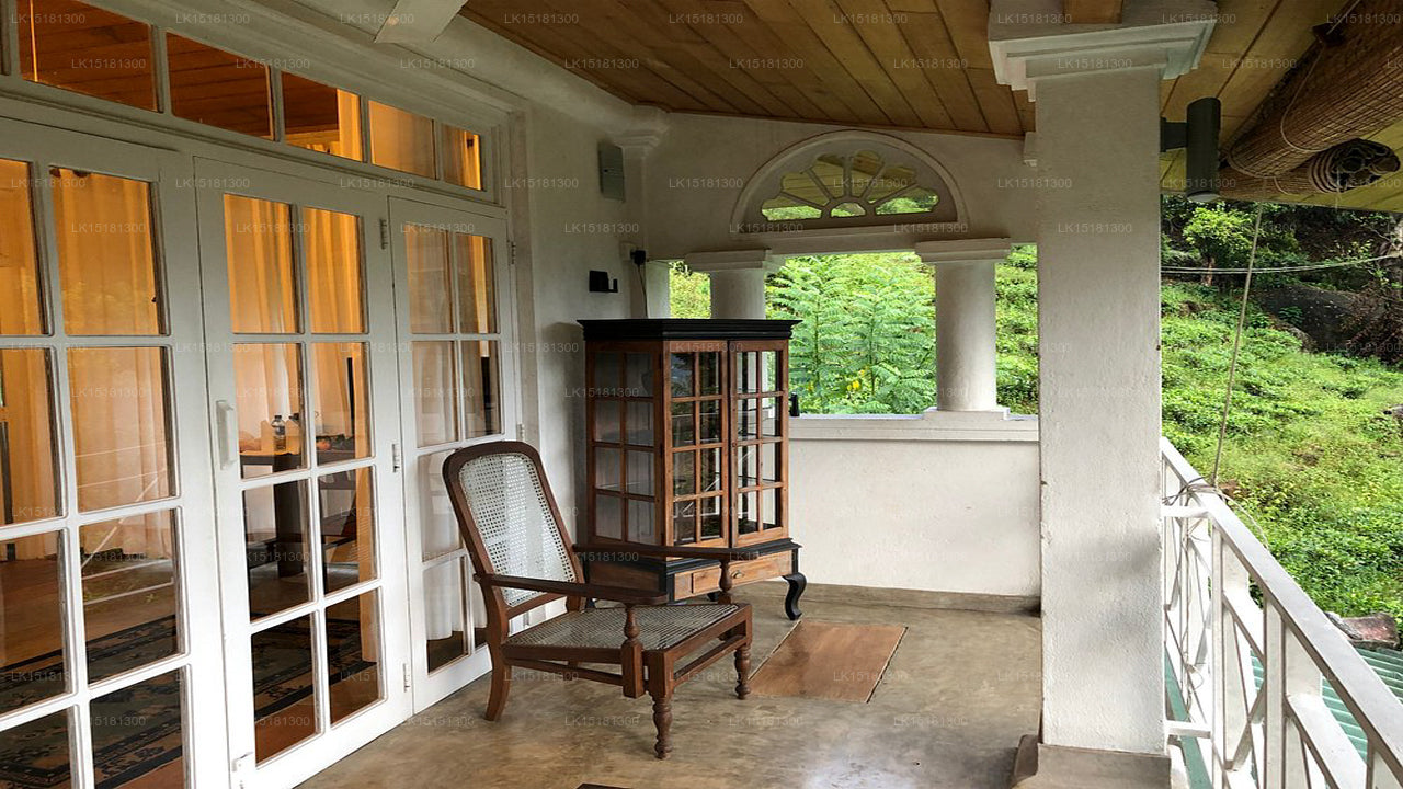 Orman Kenarı, Kitulgala