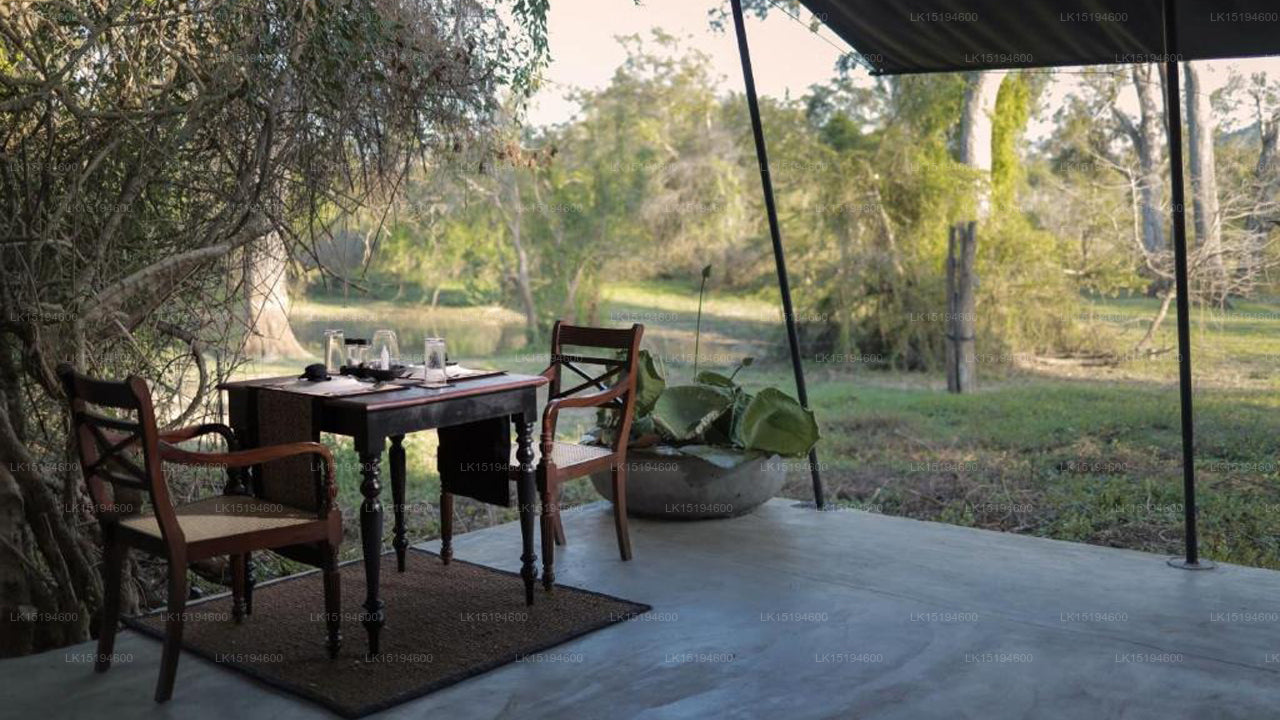 Leopard Trails,Yala