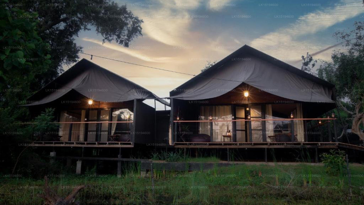 Leopard Trails,Yala