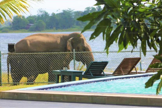 Otel Lake Park, Polonnaruwa