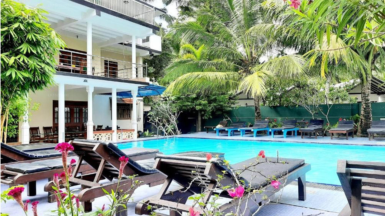 The Lodge Unawatuna