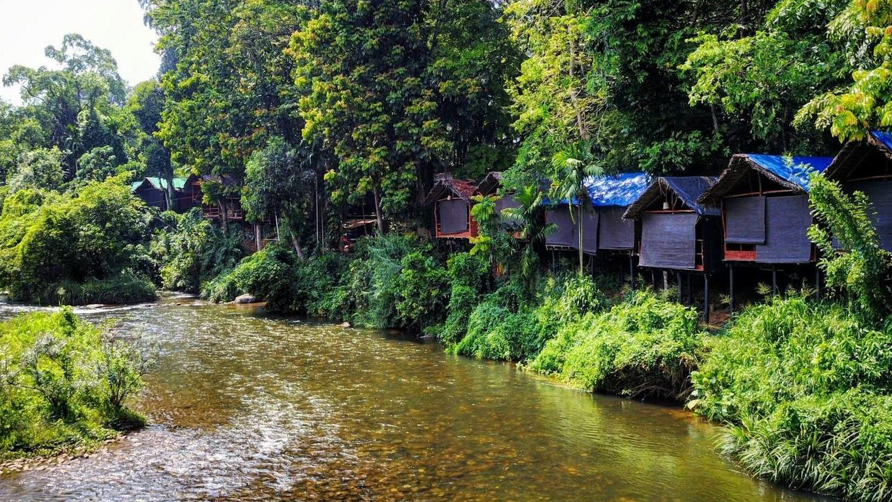 Borderlands Adveture Eco Lodge, Kitulgala