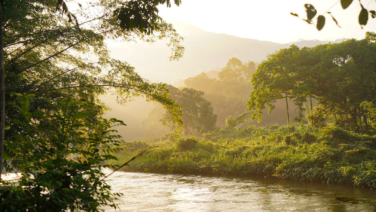 Borderlands Adveture Eco Lodge, Kitulgala