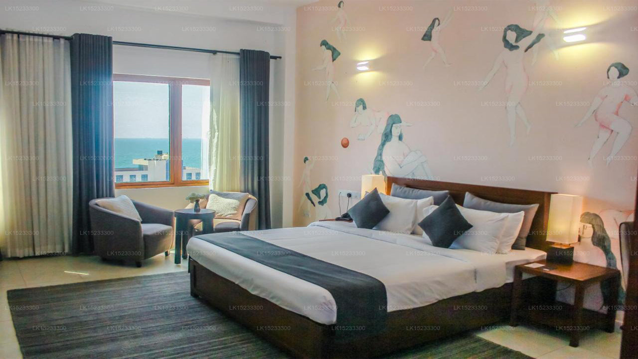 Dwell, Colombo