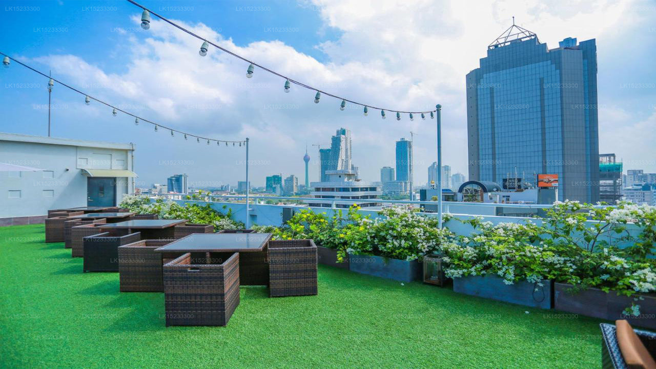 Dwell, Colombo