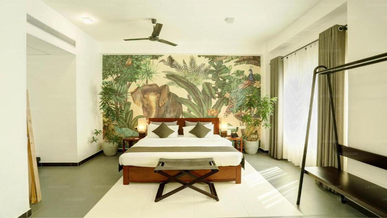 Dwell, Colombo