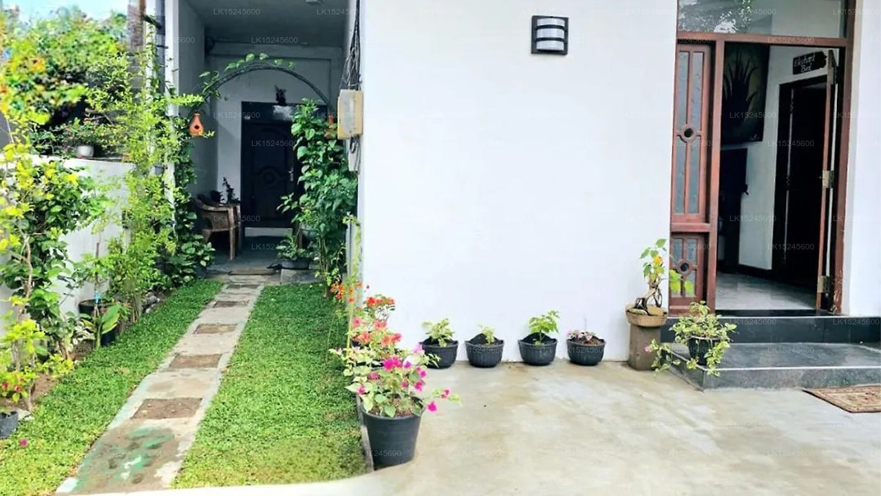 Aloe Vera Villa