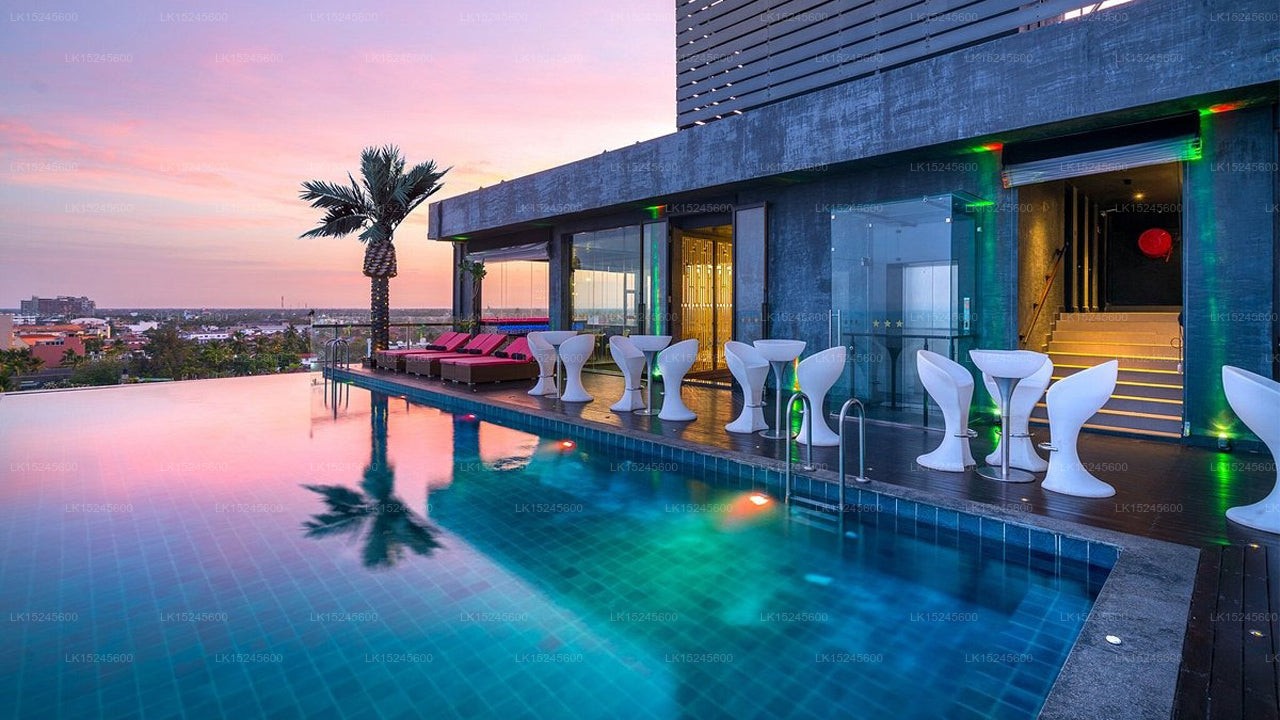 Aloe Vera Villa